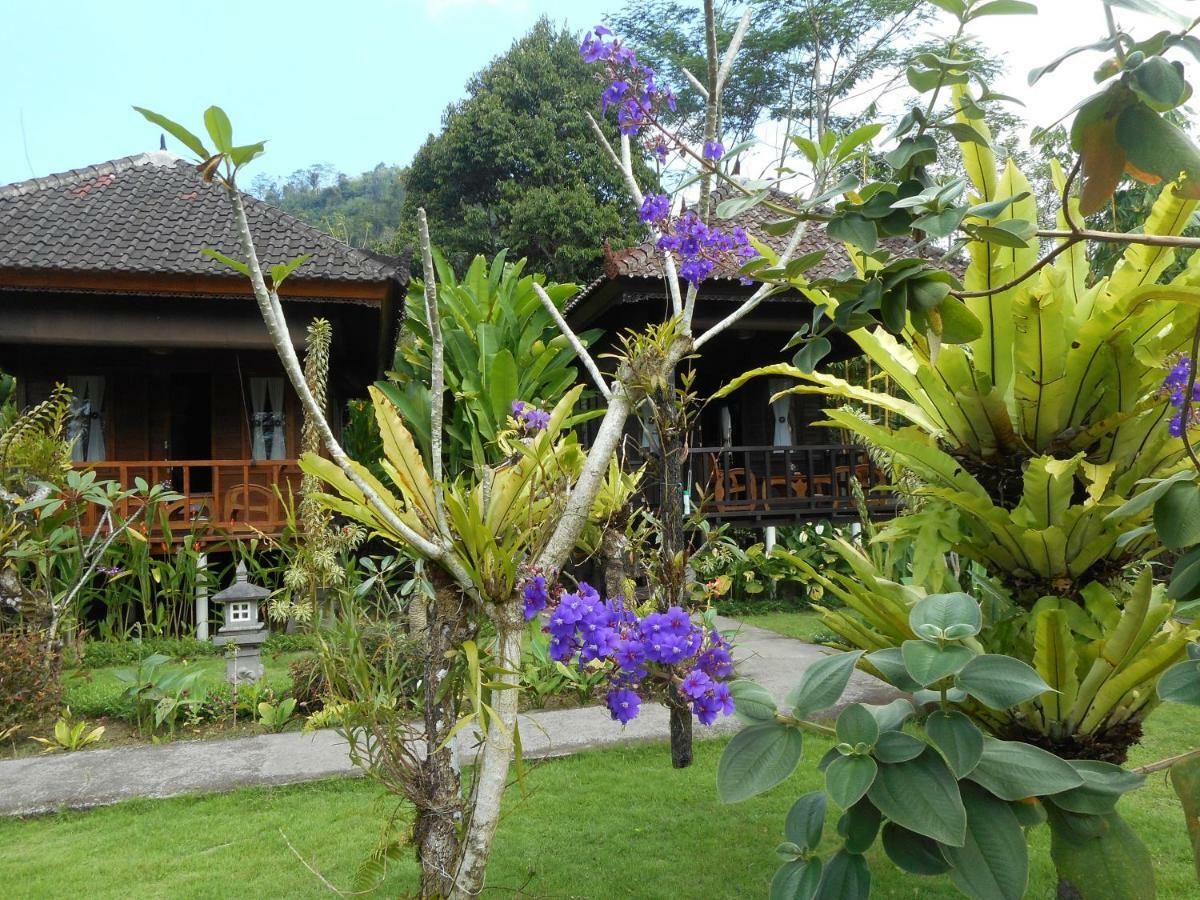 Kubu Alas Tunggal Villa Sidemen  Ngoại thất bức ảnh